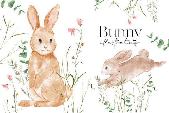 Download Watercolor Bunny Illustrations - Illustrations Collection